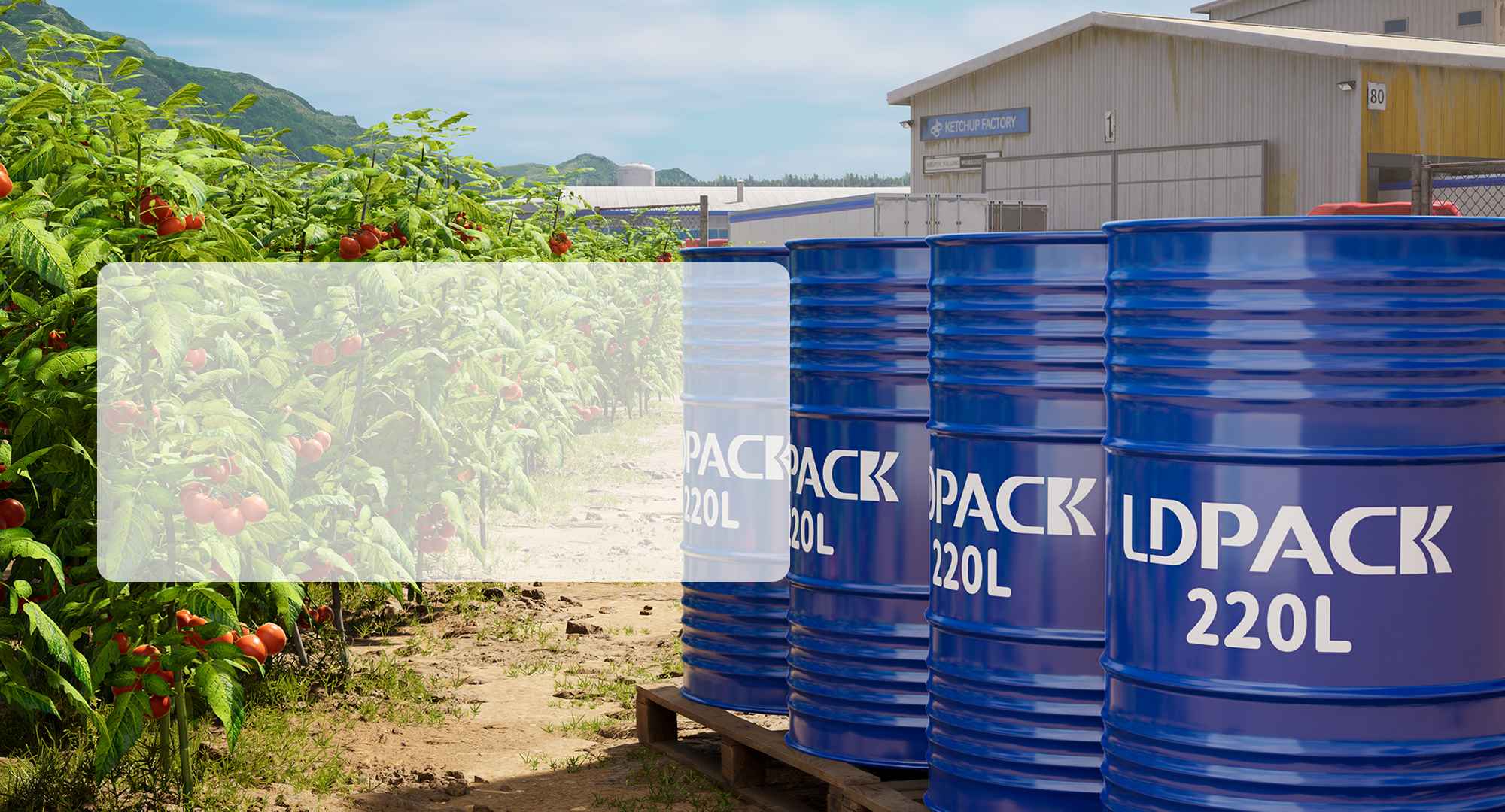 Bag-in-Box Packaging
