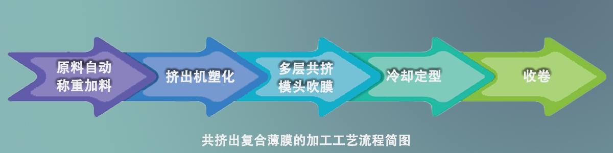 Process flow chart of co-extruded film
