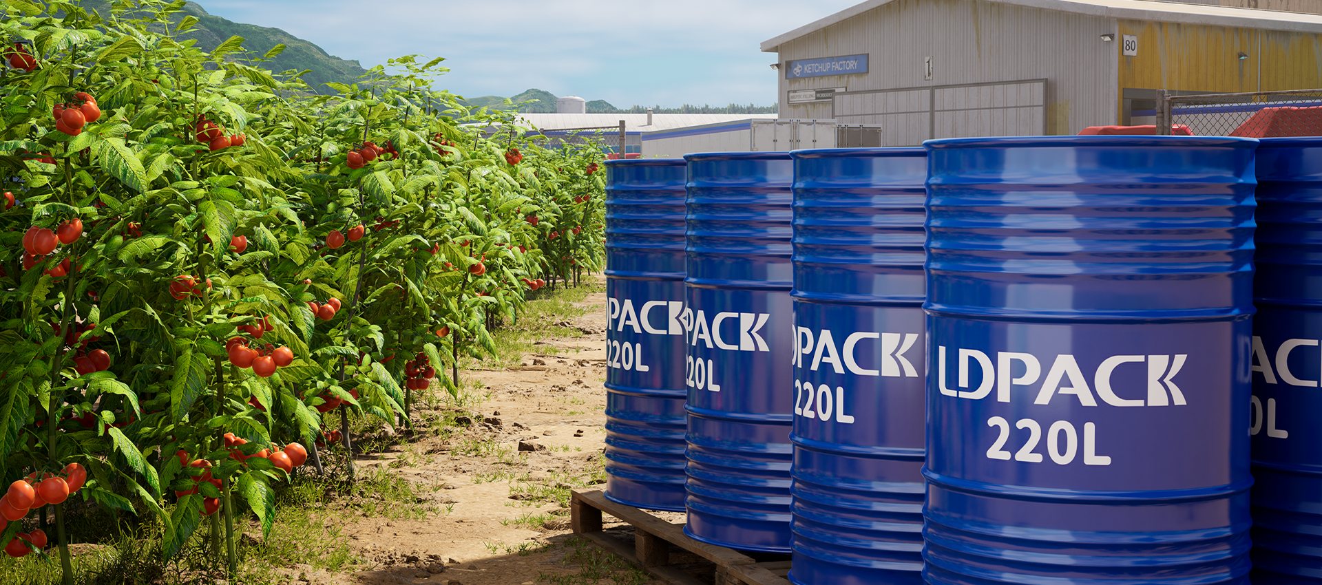 Bag-in-Box Packaging